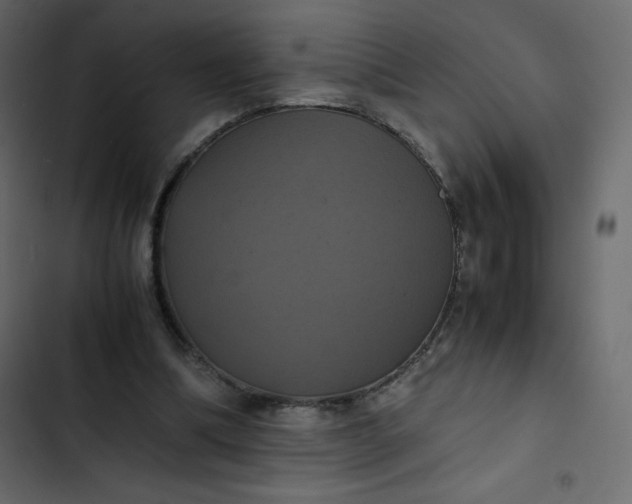 X0000102840298200809021343