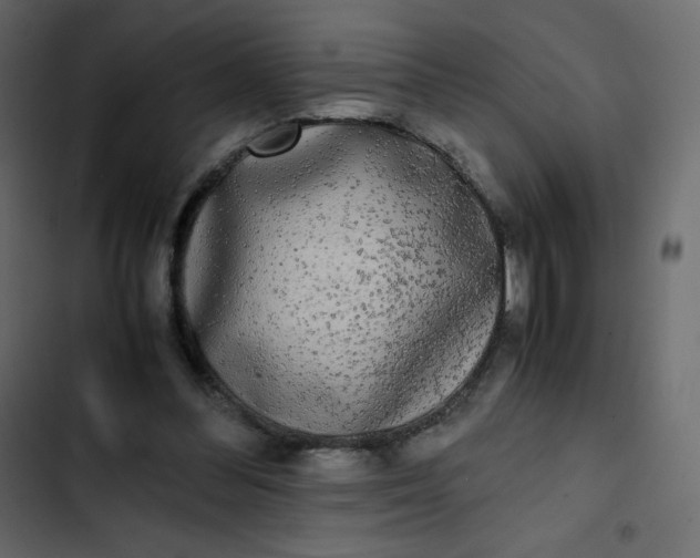 X0000102840300200809021343