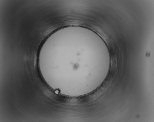 X0000102840301200809021343