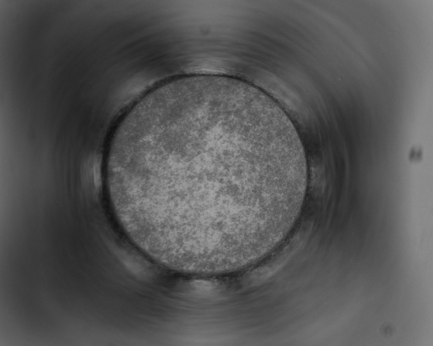 X0000102840302200809021343