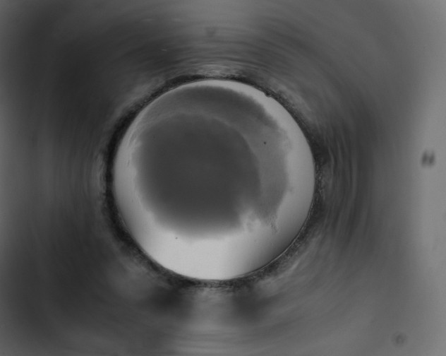 X0000102840303200809021343