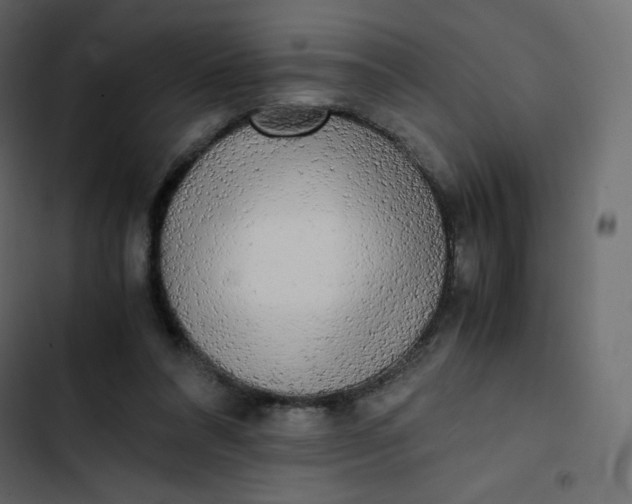 X0000102840304200809021343