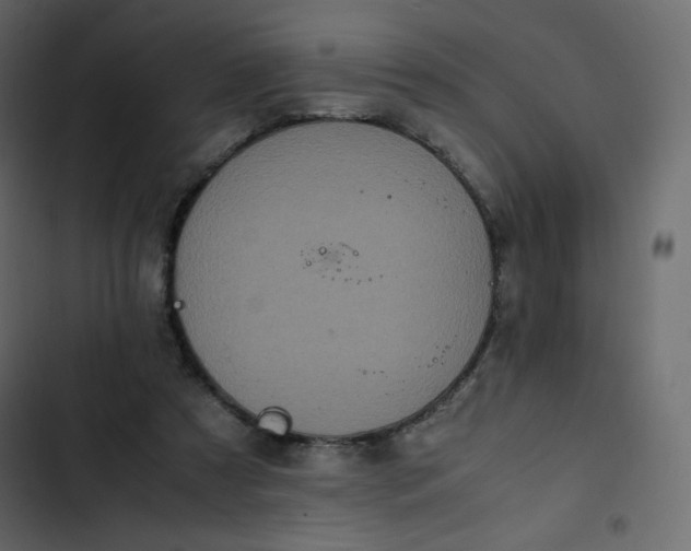 X0000102840305200809021343