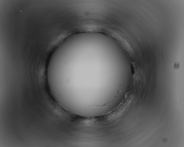 X0000102840306200809021343