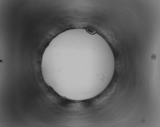 X0000102840307200809021343