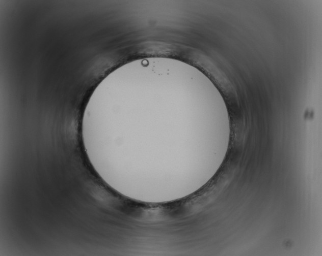 X0000102840309200809021343