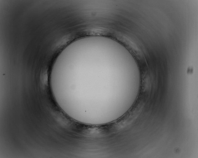 X0000102840310200809021343