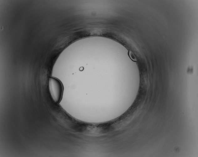 X0000102840311200809021343