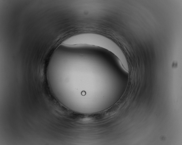 X0000102840312200809021343