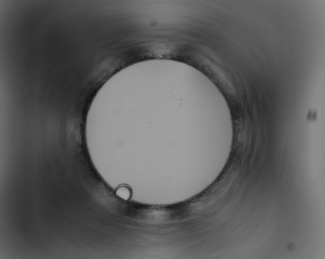 X0000102840313200809021343