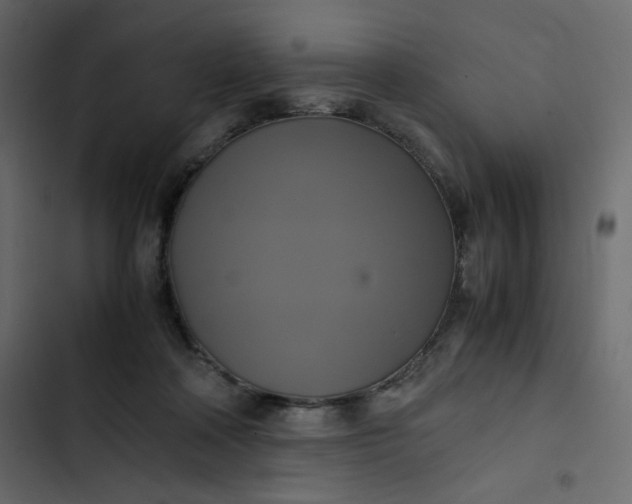 X0000102840314200809021343