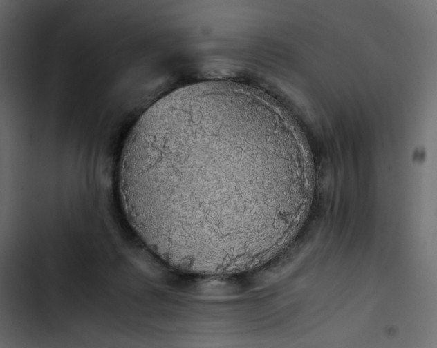 X0000102840315200809021343