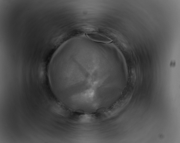 X0000102840320200809021343