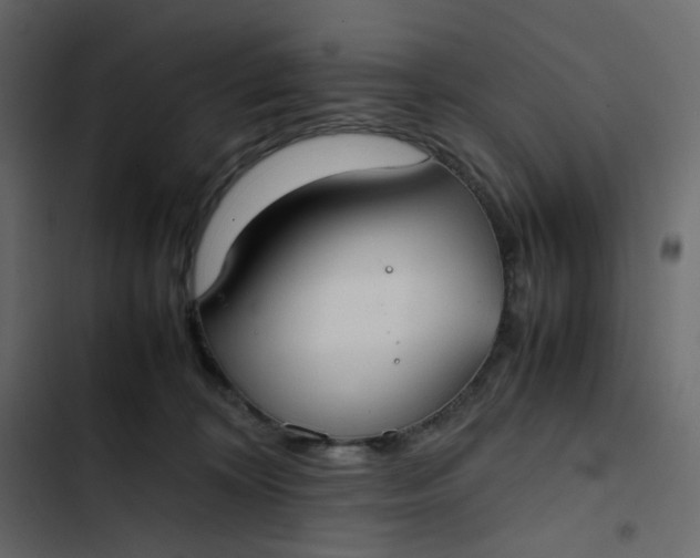 X0000102840324200809021343