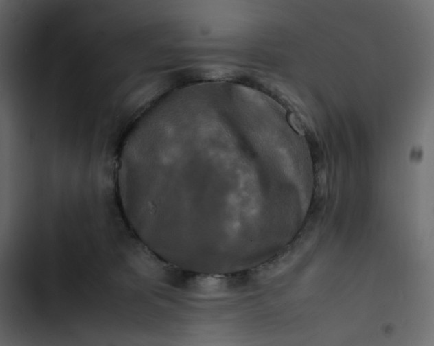 X0000102840325200809021343