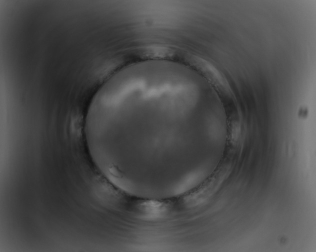 X0000102840326200809021343