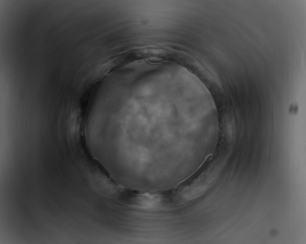 X0000102840328200809021343