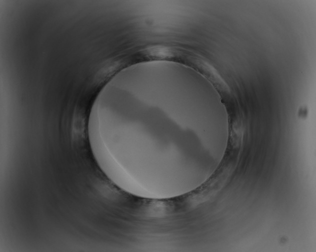 X0000102840330200809021343