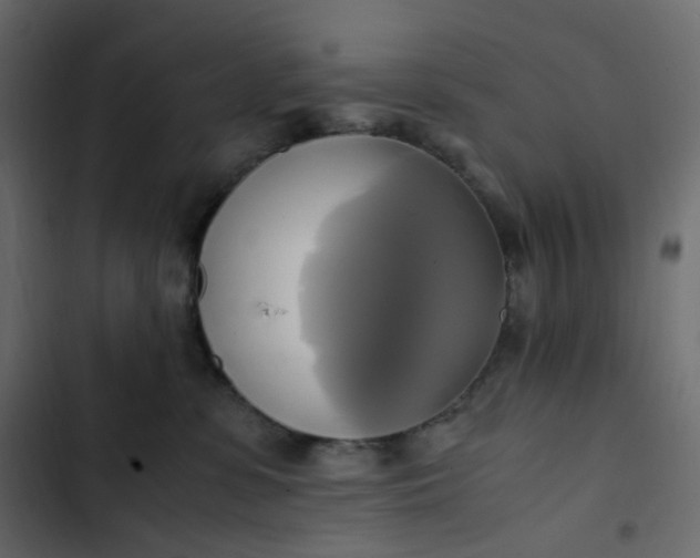 X0000102840331200809021343