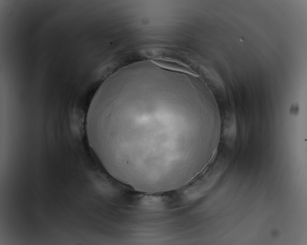 X0000102840332200809021343