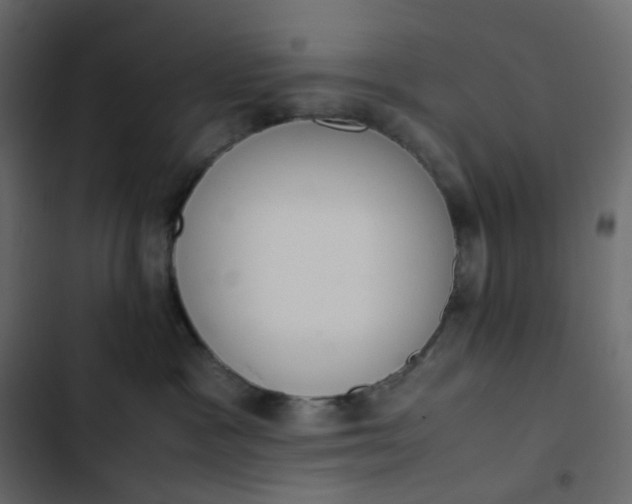 X0000102840333200809021343