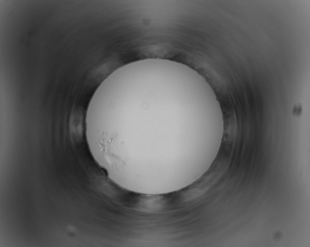 X0000102840334200809021343