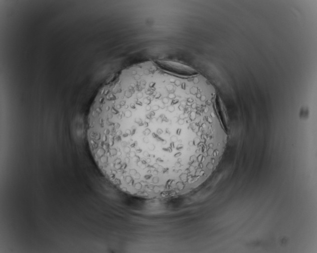 X0000102840335200809021343