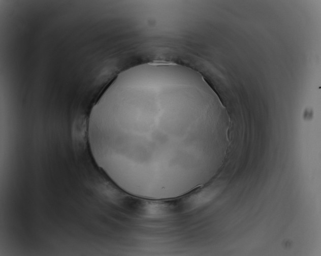 X0000102840336200809021342