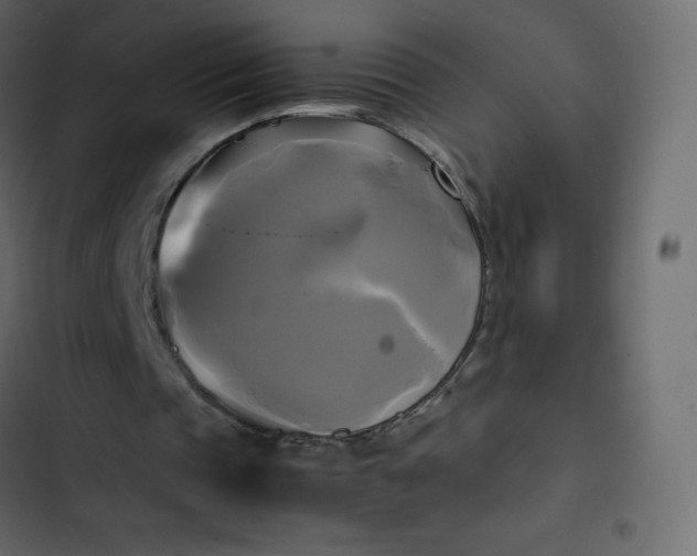 X0000102840337200809021342