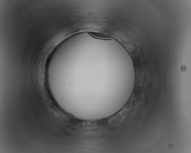 X0000102840338200809021342