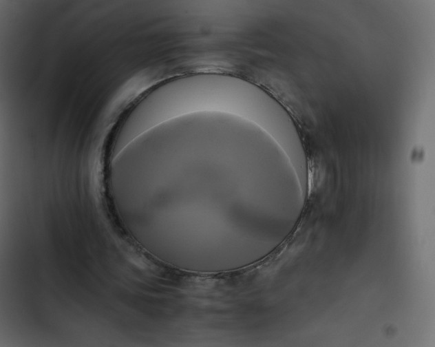 X0000102840339200809021342