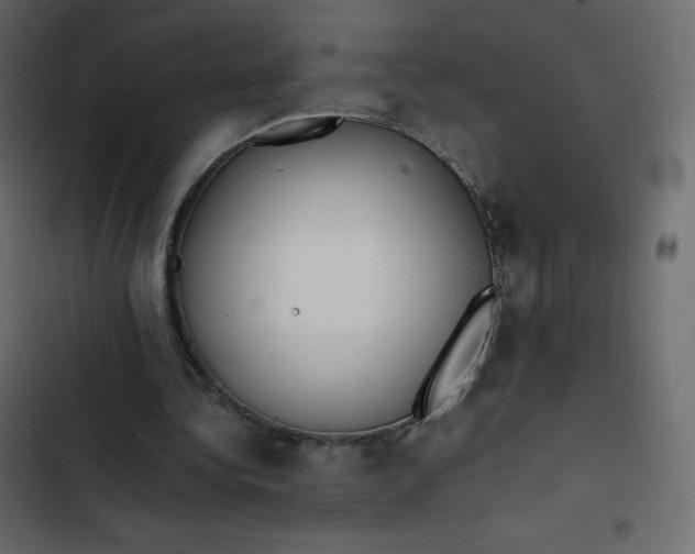 X0000102840340200809021342