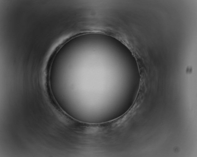 X0000102840342200809021342