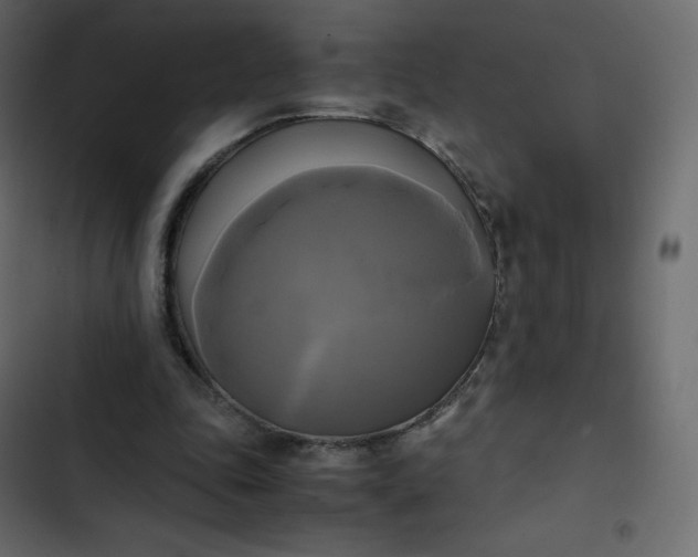 X0000102840343200809021342