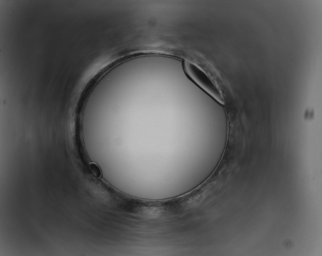 X0000102840344200809021342