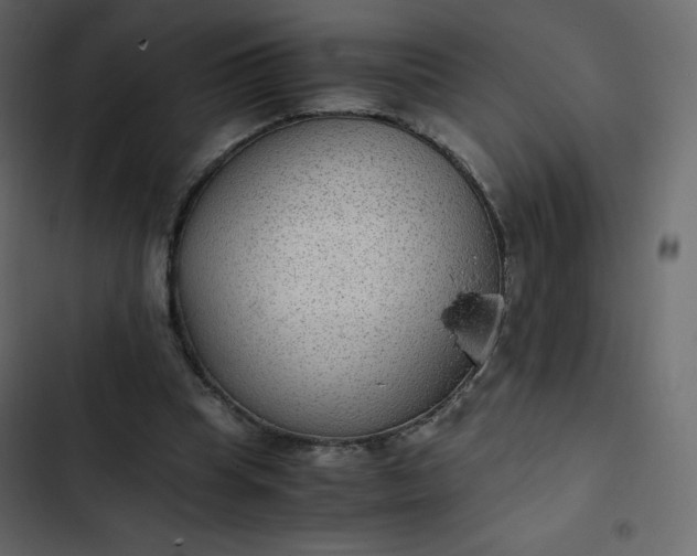 X0000102840345200809021342