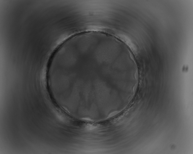 X0000102840346200809021342