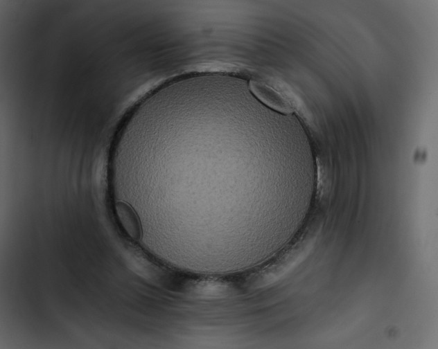 X0000102840348200809021342