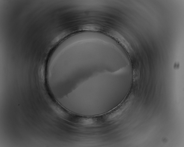 X0000102840349200809021342