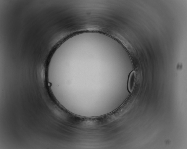 X0000102840350200809021342