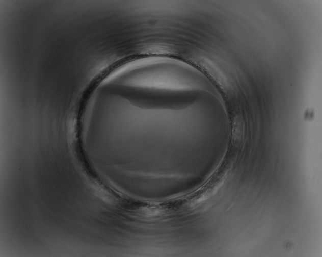 X0000102840351200809021342