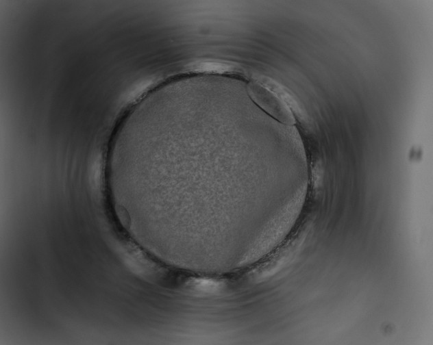 X0000102840352200809021342