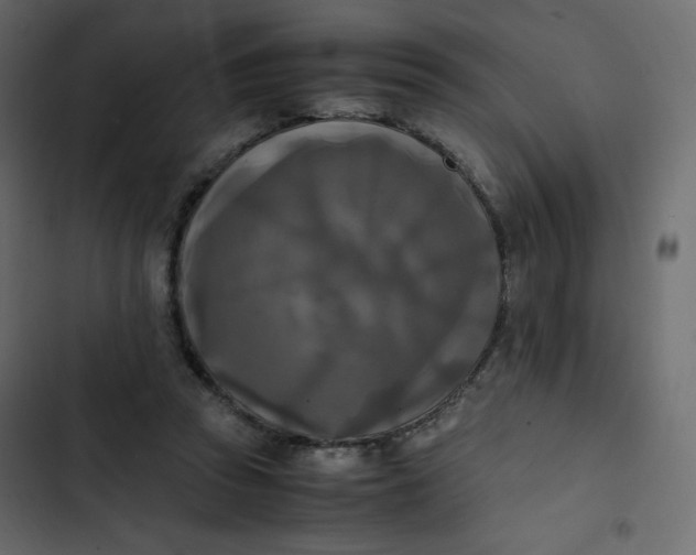 X0000102840353200809021342