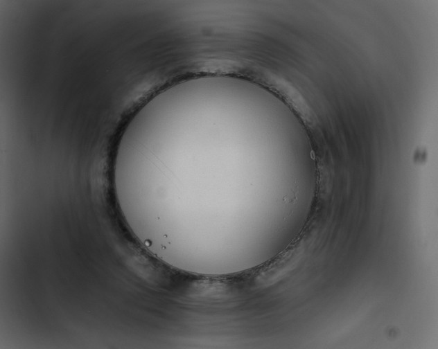 X0000102840354200809021342