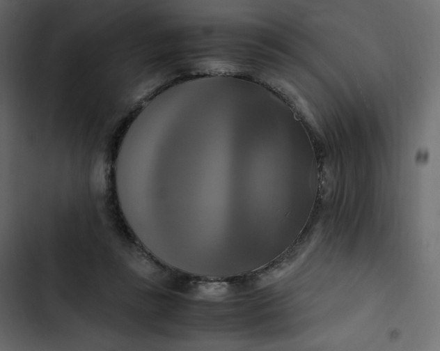 X0000102840355200809021342