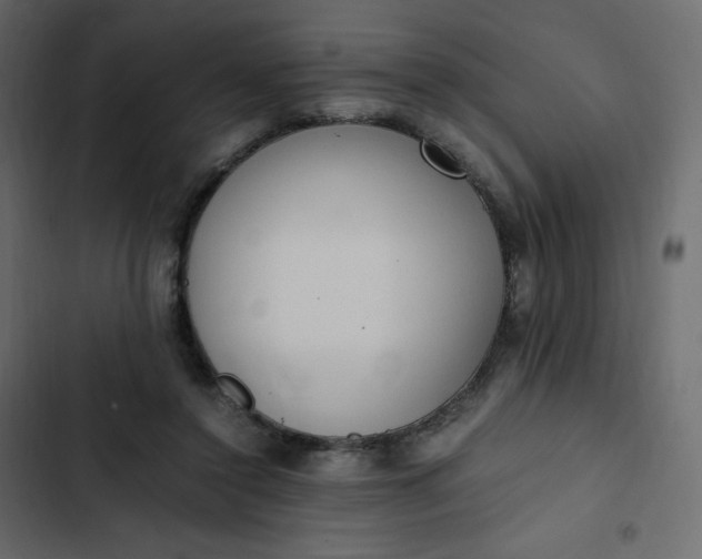 X0000102840356200809021342