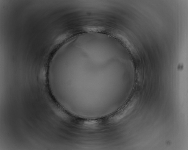 X0000102840357200809021342