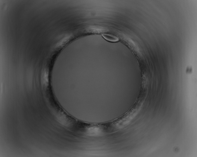 X0000102840358200809021342