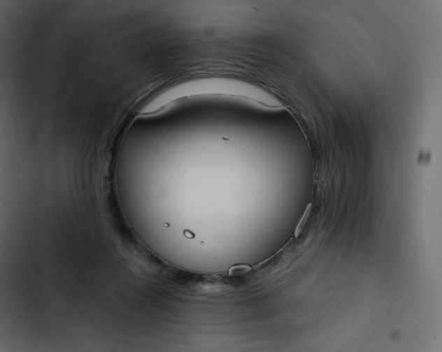 X0000102840360200809021342