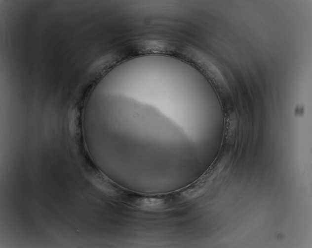 X0000102840361200809021342